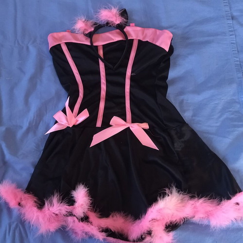 Cat Carnival Costume new, women's one size