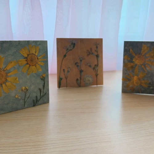 Set of 3 handmade frames with dried flowers new