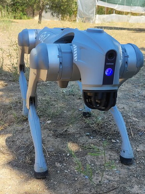 Unitree Go2 Pro AI quadruped robot dog with wireless tracking controller