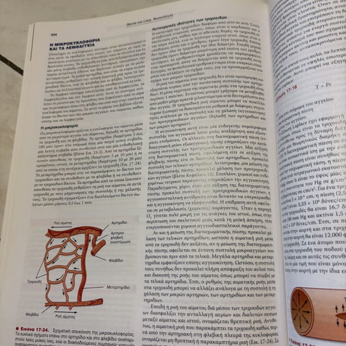 Berne & Levy Physiology University Textbook like new