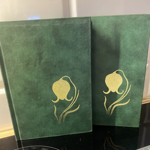 Knut Hamsun novels like new, two leather-bound books
