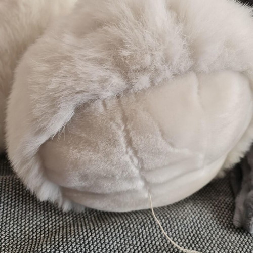 Stuffed bear like new, large size
