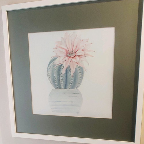 Cactus Plant Art Print used, framed