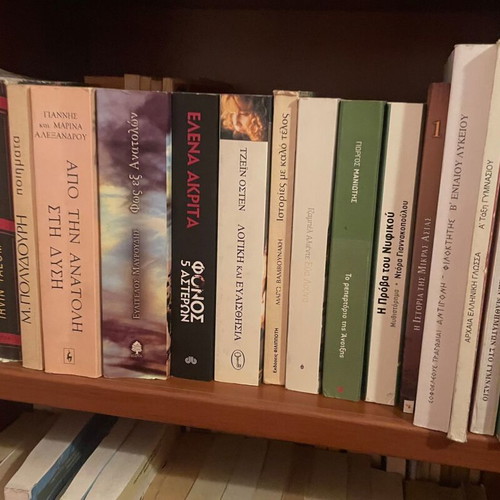 Literary, school, and dictionary books used, good condition