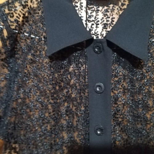Official Vest with Transparency