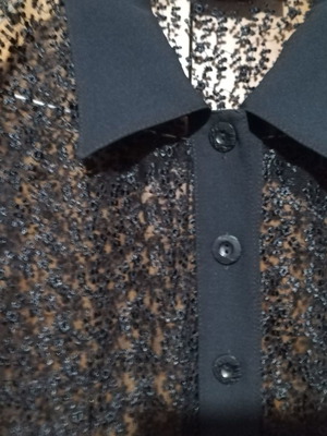 Official Vest with Transparency