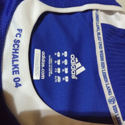 Schalke team appearance 2008-2009