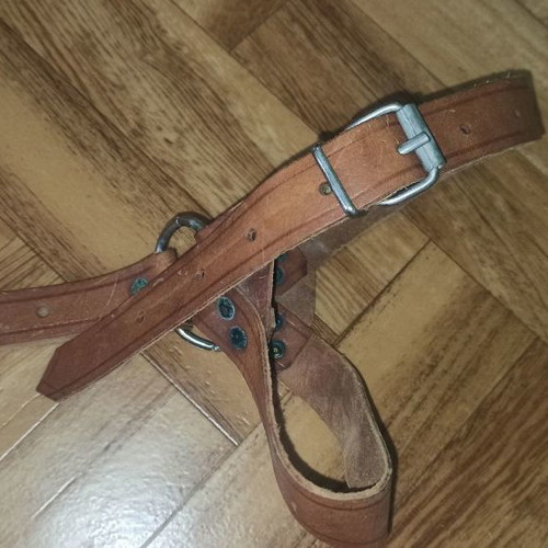 Leather goat tethering strap new