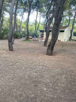 Οικόπεδο με κατοικήσιμη μονοκατοικία 38 τ.μ. στη Δροσιά Αττικής