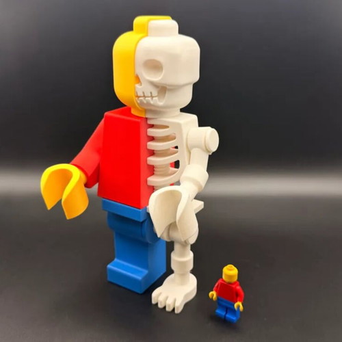 Lego Minifigure Anatomy 3D new