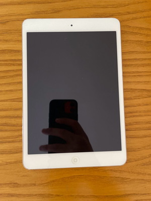 iPad mini 2 used with box and small crack