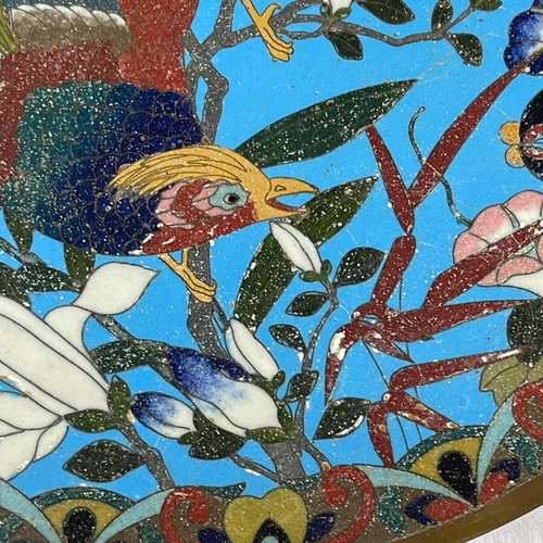 Japanese Meiji era cloisonné plate used, enamel on copper