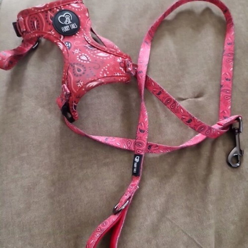 FURRY TAILLS dog harness with leash, like new, red bandana