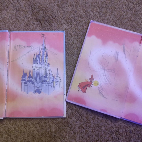 Disney booklets used, two pieces