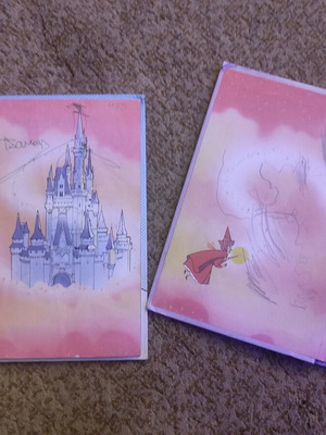 Disney booklets used, two pieces