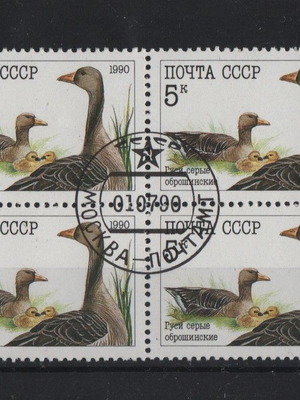Пощенски марки 1990 СССР "Сиви гъски" блок от 4 нови