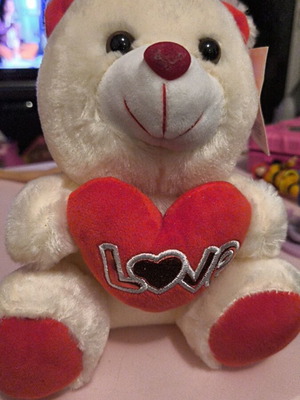 Plush teddy bear with heart brand new with tag
