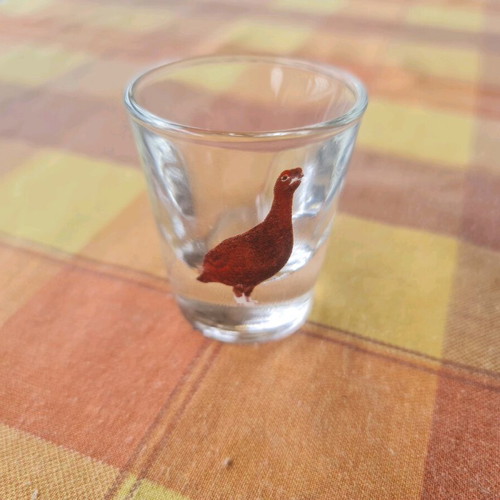 Collectible Famous Grouse shot glass from 90-2000 decade like new