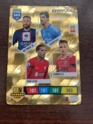 Panini Gold Card 2026 World Cup with Kimmich, Neymar, Van Dijk new
