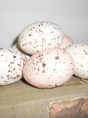 Απομίμηση αυγών σαν καινούργιο, πακέτο 12