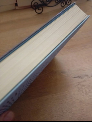 Easy Prey book like new