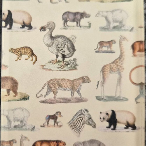 Fridge magnet used, wild animals theme