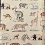 Fridge magnet used, wild animals theme