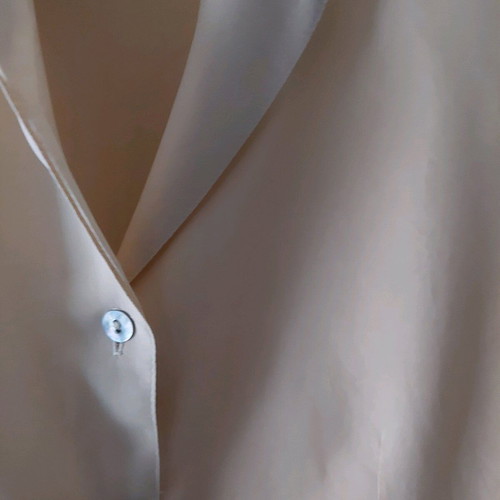 Silk women's shirt size large fitted long sleeve like new