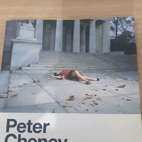 Book Den glitonis panta used, crime novel by Peter Cheney
