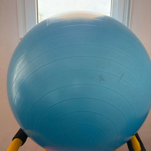 Large Body Sculpt exercise ball like new