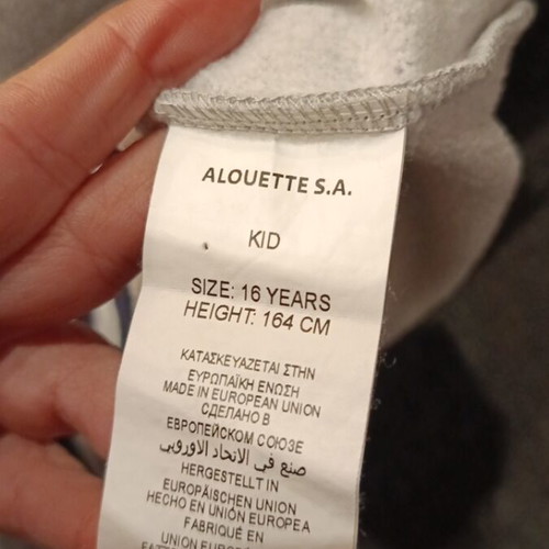 Alouette sweatshirt for 16-year-olds like new, gray and blue