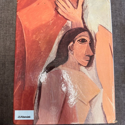 Picasso Famous Painters Art Collection book used