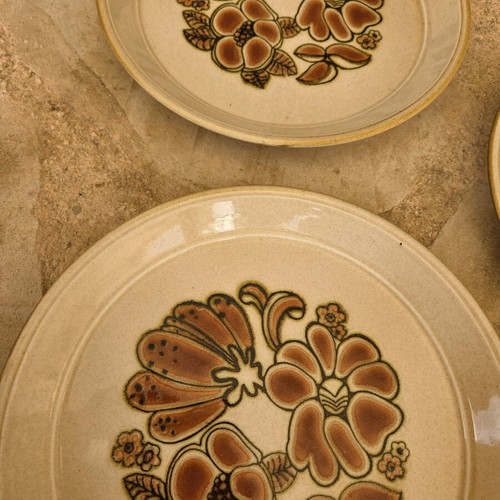 Festival Range Vintage Plates Rafflesia Design Like New