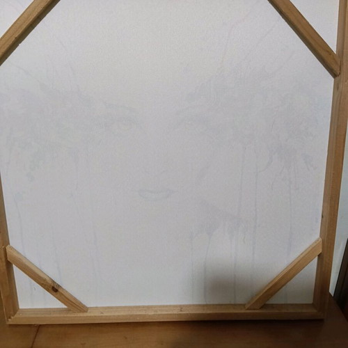 Modern canvas 60×60 cm like new, premium art print portrait