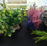 Plastic aquarium plants used