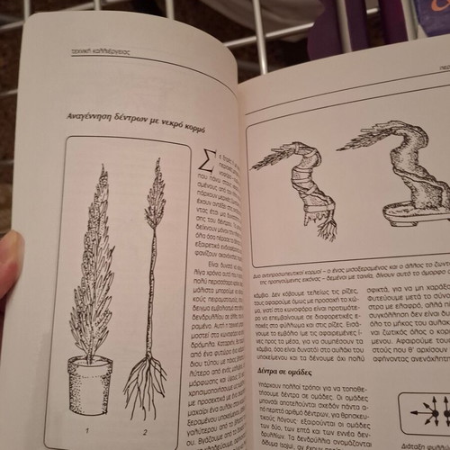 The Art of Bonsai by Andrea Marenzio book