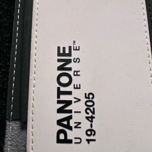 Pantone iPad case new
