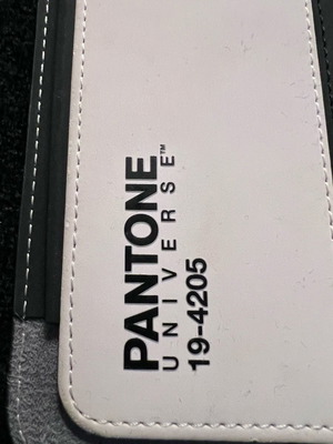 Pantone iPad case new