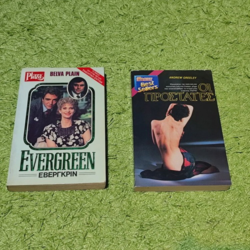 90s novels like new, Evergreen and The Protectors