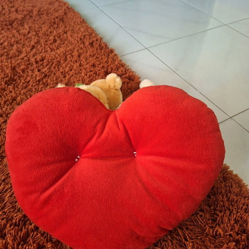 Valentine teddy bear dolls like new