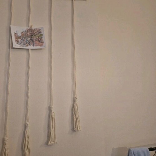 Wall decor for photos and memorabilia with clips new