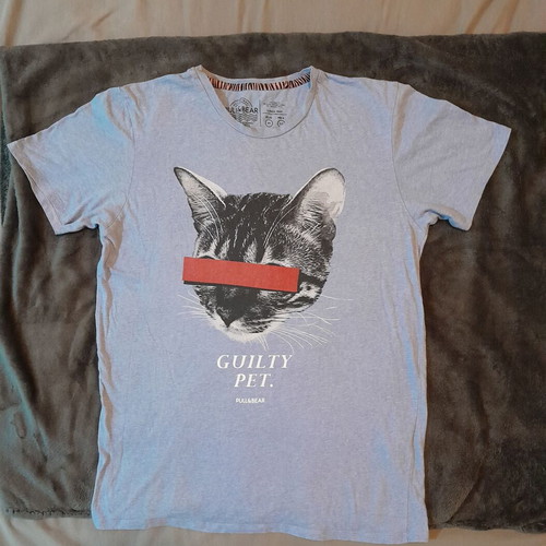 Pull & Bear women's turquoise T-shirt, size M, 100% cotton