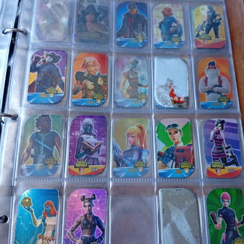 Collector's Album for Metal Tags 2018-2019 like new