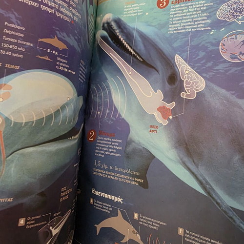Atlas of Sciences Mammals book like new