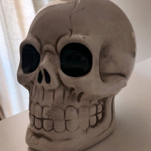 Skull piggy bank new