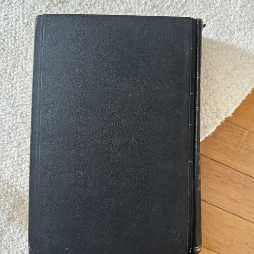 The Demons by Fyodor Dostoevsky, hardcover edition