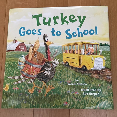 Turkey Goes to School children's book new in English