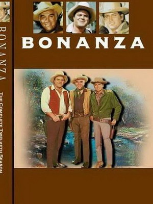 Bonanza DVD used, pack of 30 with subtitles