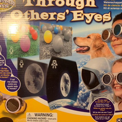 See the World Through Others' Eyes educational game used