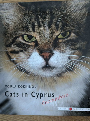 Cats in Cyprus Encounters book by Voula Kokkinou